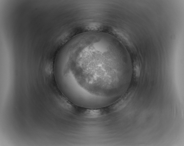 X0000111360665200907101232