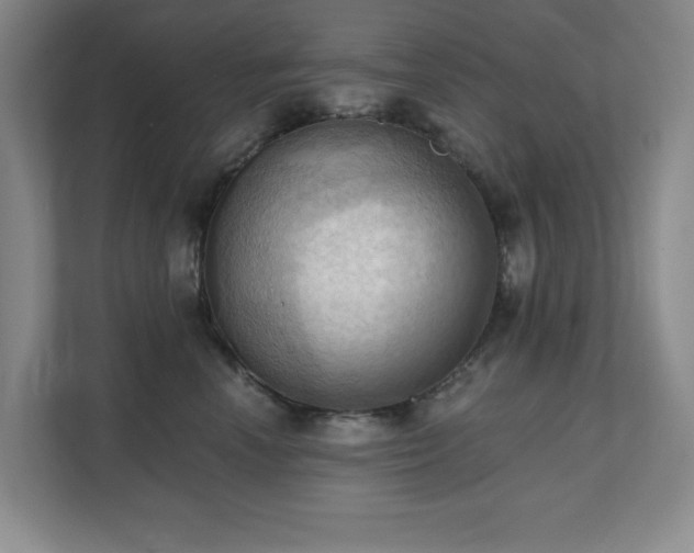 X0000111360666200907101232