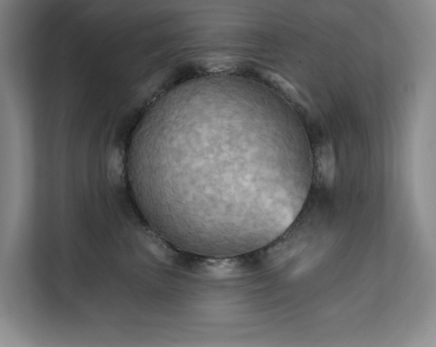 X0000111360667200907101232
