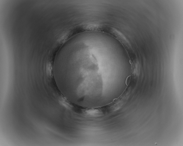 X0000111360669200907101232
