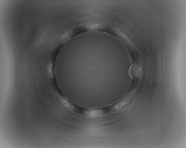X0000111360670200907101232