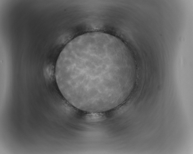 X0000111360672200907101232