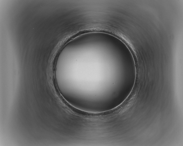 X0000111360673200907101231