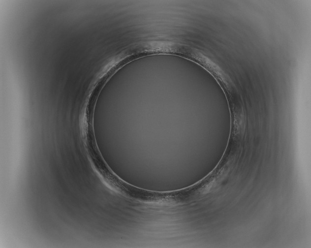 X0000111360674200907101231