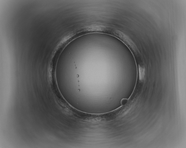 X0000111360675200907101231