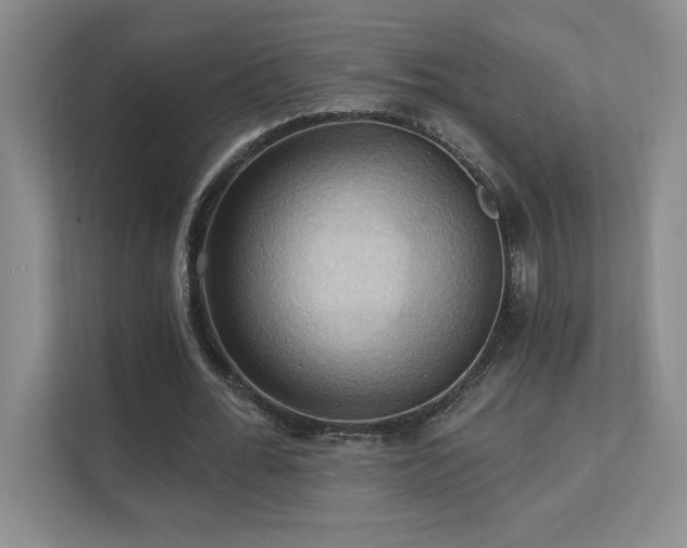 X0000111360676200907101231