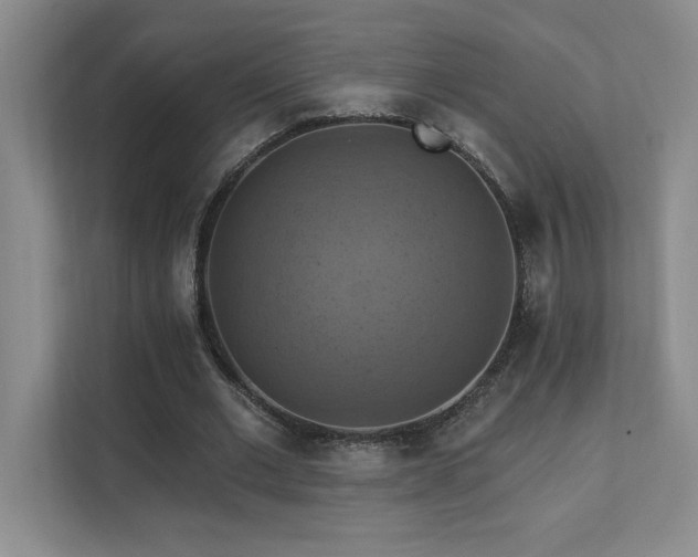 X0000111360677200907101231