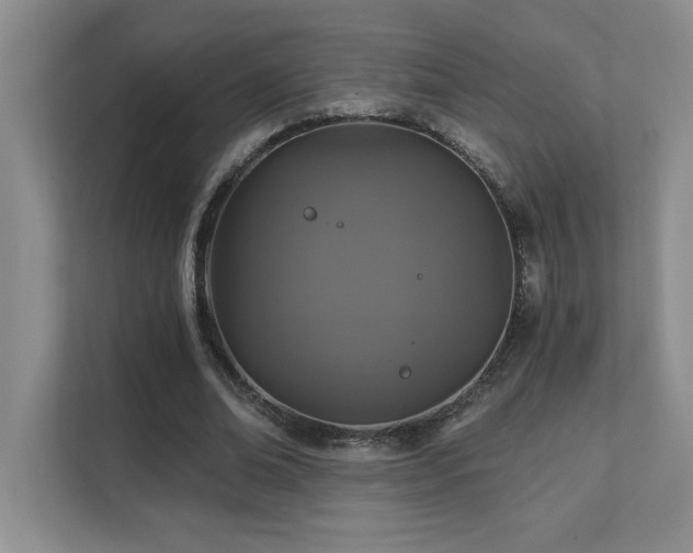 X0000111360678200907101231