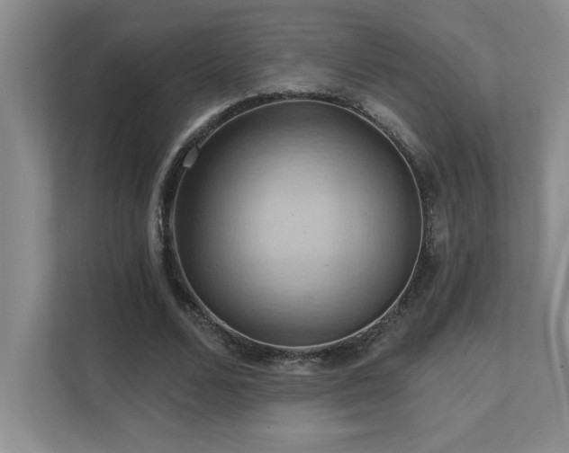 X0000111360680200907101231