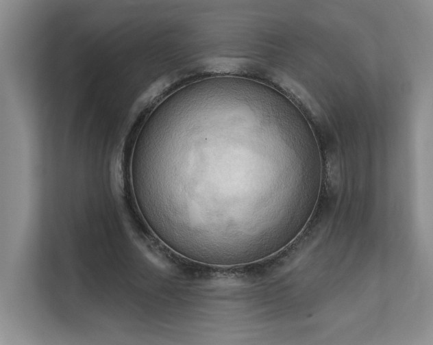 X0000111360682200907101231
