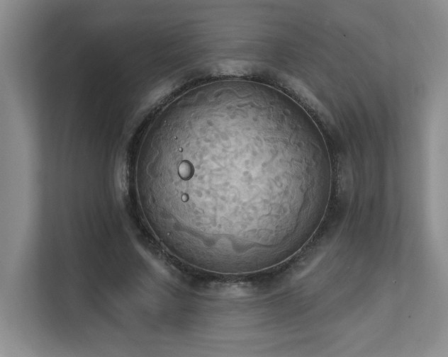 X0000111360683200907101231