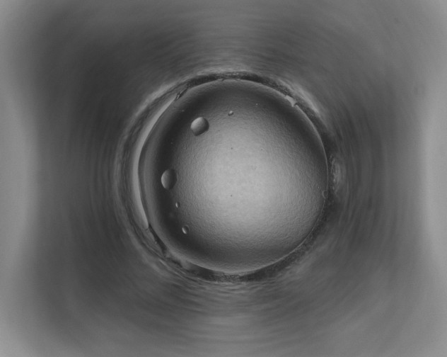 X0000111360684200907101231
