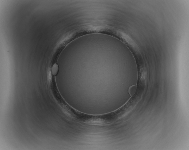X0000111360685200907101231