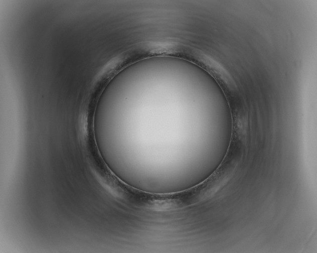X0000111360686200907101231