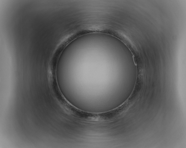 X0000111360688200907101231