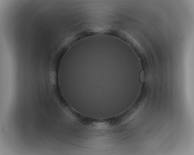 X0000111360689200907101231