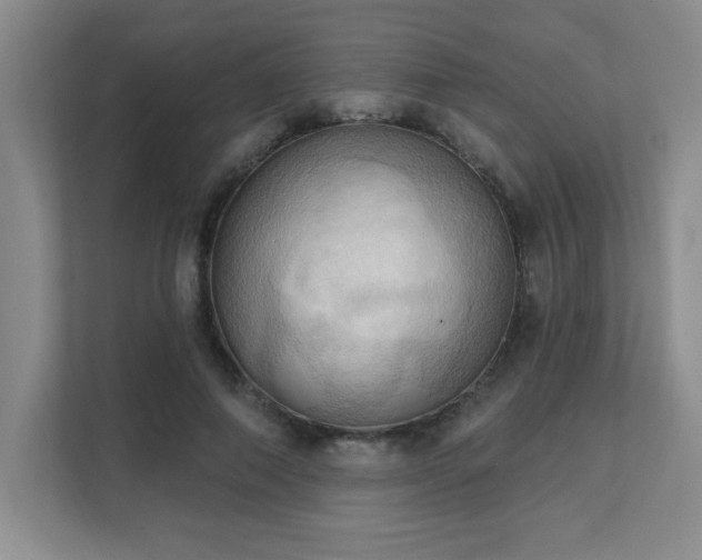 X0000111360690200907101231