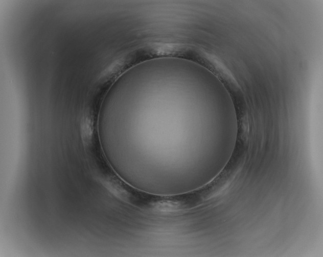 X0000111360691200907101231