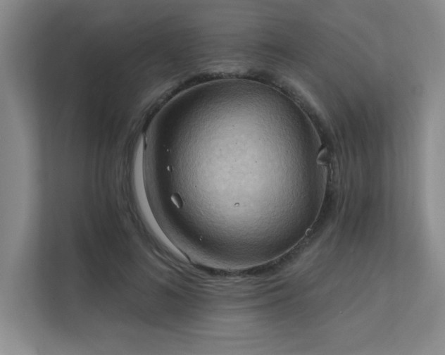 X0000111360692200907101231