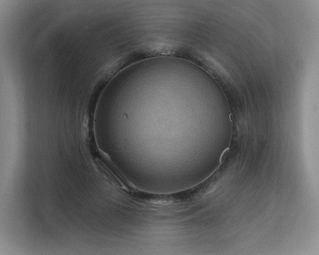 X0000111360693200907101231