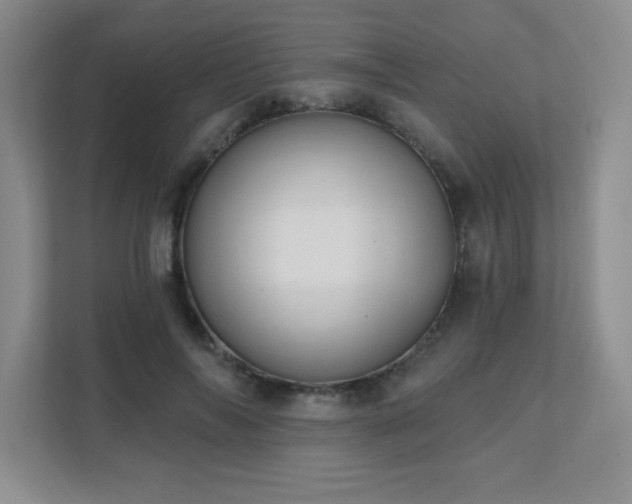 X0000111360694200907101231