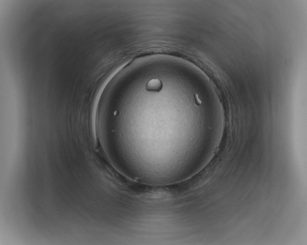 X0000111360696200907101231