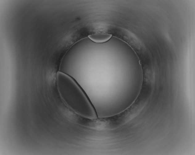 X0000111360697200907101231