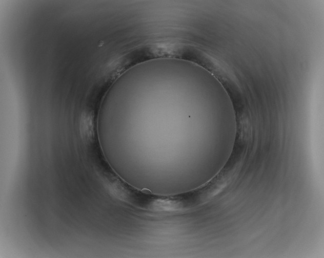 X0000111360699200907101231