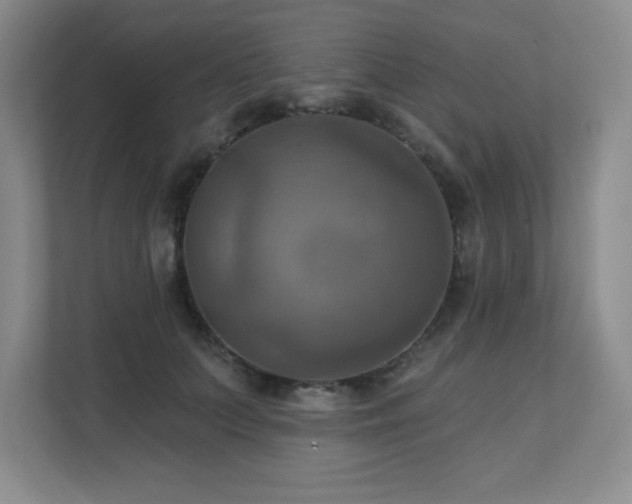 X0000111360703200907101230