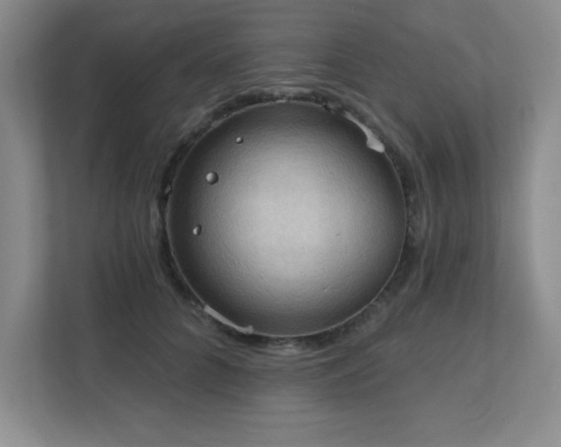 X0000111360704200907101230