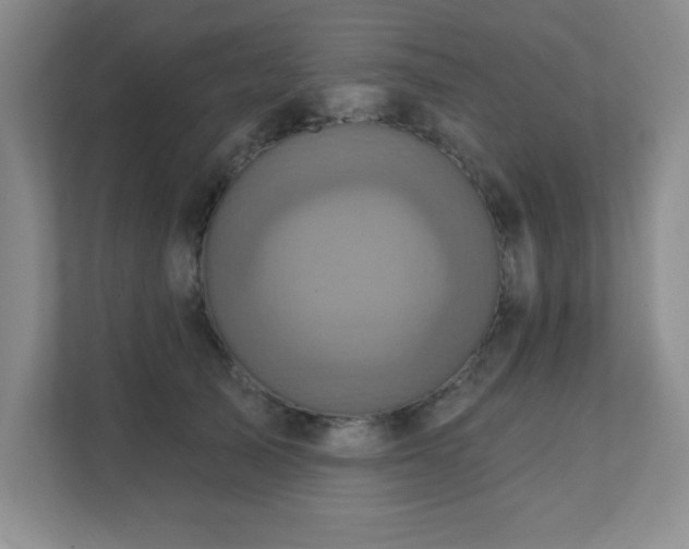 X0000111360705200907101230