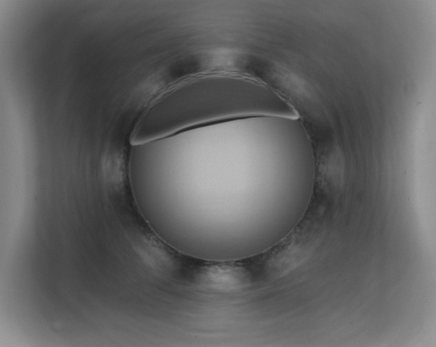 X0000111360708200907101230