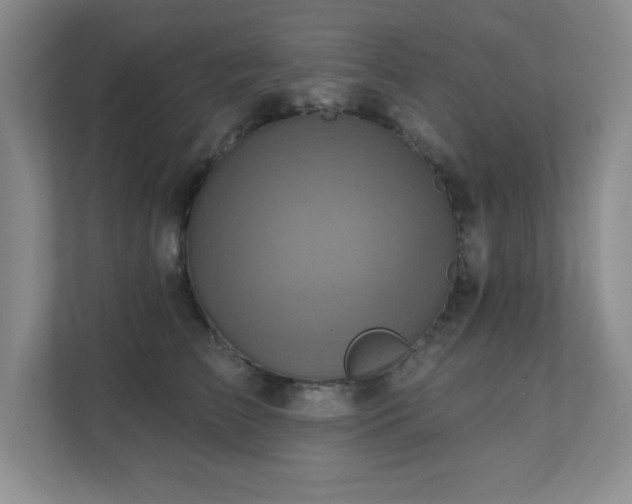 X0000111360709200907101230