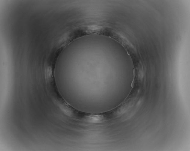 X0000111360711200907101230