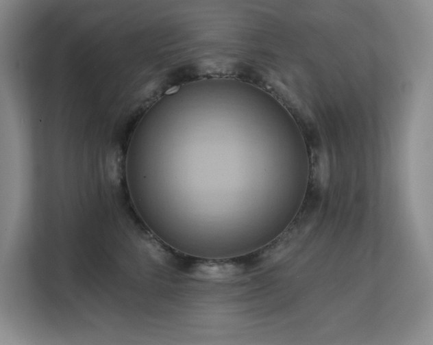 X0000111360712200907101230