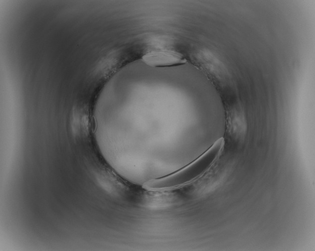 X0000111360716200907101230