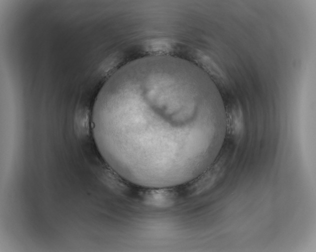 X0000111360717200907101230