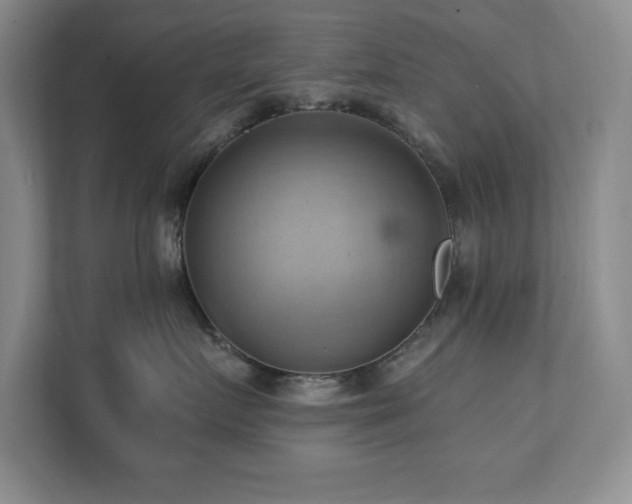 X0000111360719200907101230