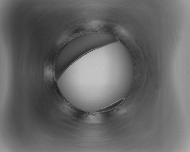 X0000111360720200907101230