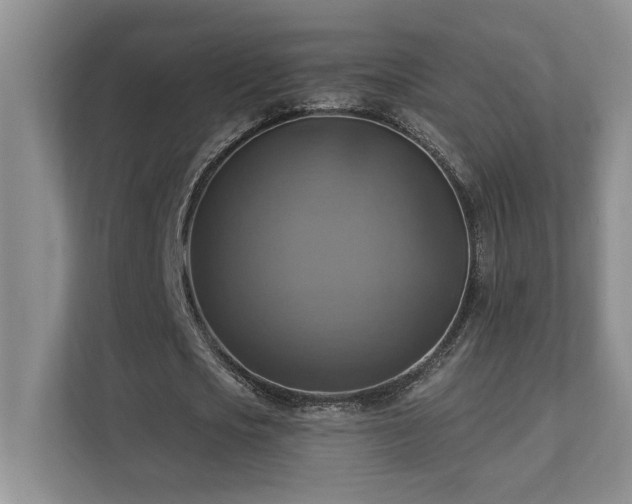 X0000111360721200907101230