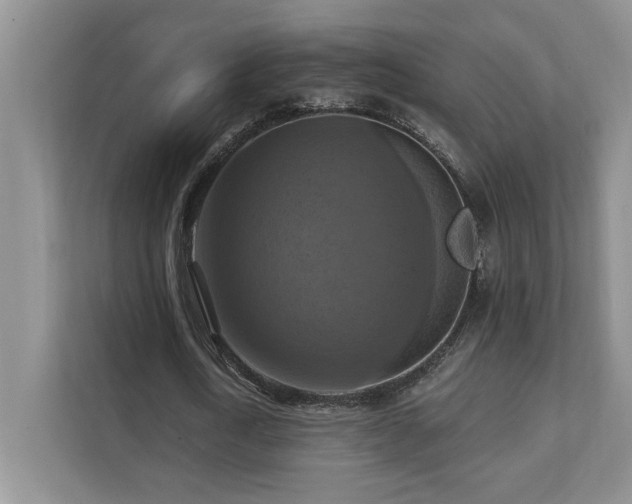 X0000111360722200907101230