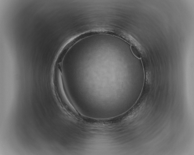 X0000111360724200907101230