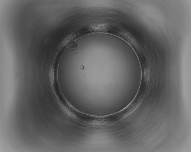 X0000111360725200907101230