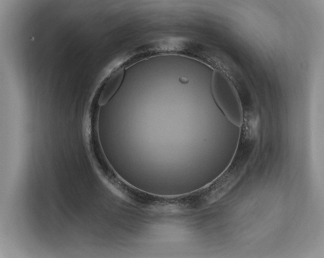X0000111360726200907101230