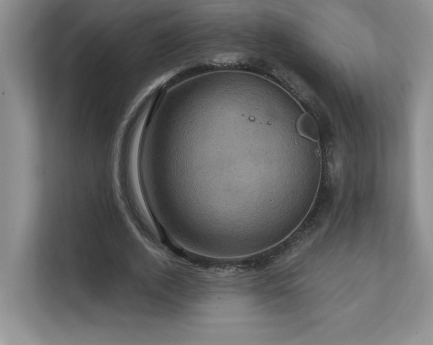X0000111360728200907101230