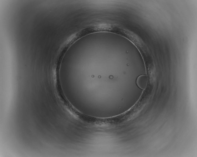 X0000111360729200907101230