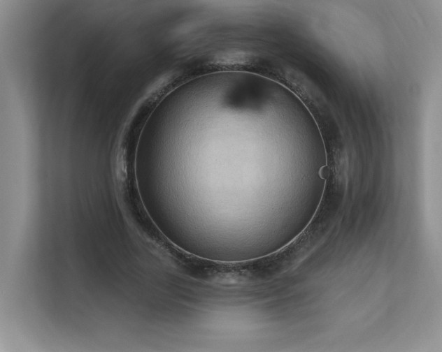 X0000111360731200907101230