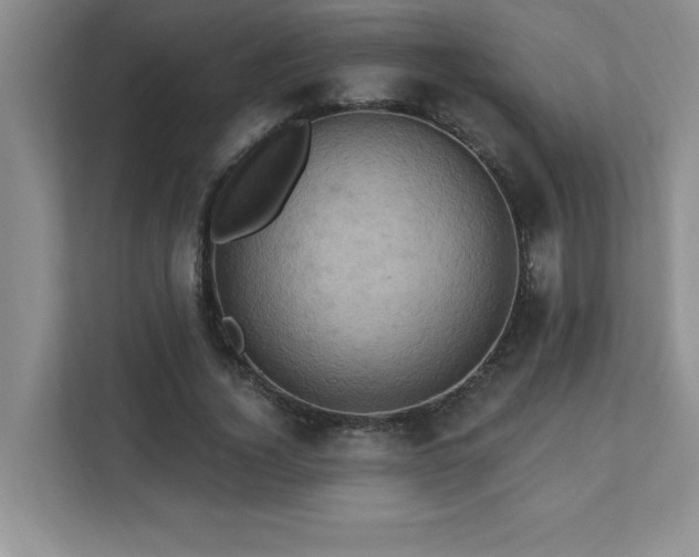 X0000111360732200907101230