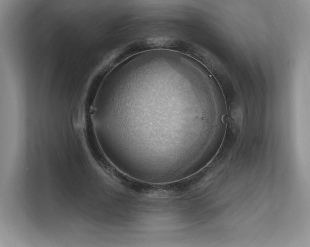 X0000111360734200907101230