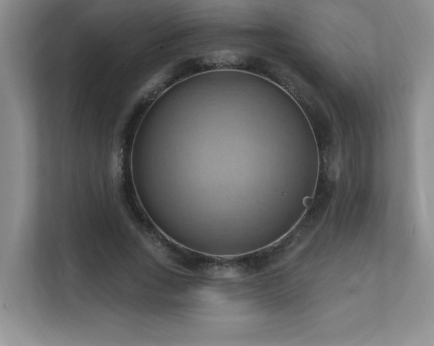 X0000111360735200907101230